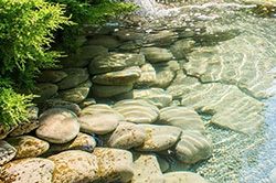 Создание водоемов на даче - пруды, бассейны и фонтаны  в Санкт-Петербурге