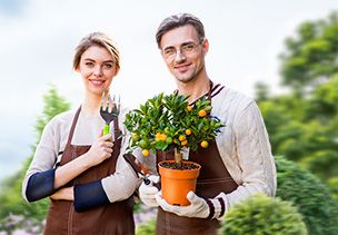 Проект «под ключ» где можно заказать по низкой цене  в Санкт-Петербурге