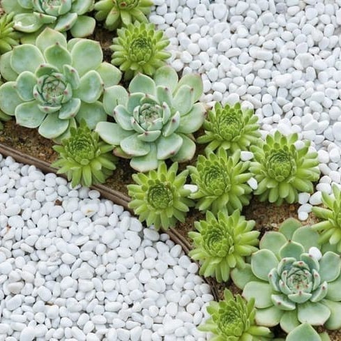 Ландшафтное проектирование дачного участка