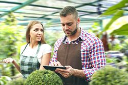 Дендроплан - верное планирование территории и решения этой задачи на уровне  в Санкт-Петербурге