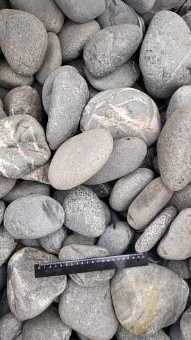 Kamenclub.ru: Галька речная окат (темно-серая) фр. 70-150 мм. купить  в Санкт-Петербурге галька речная темно-серая, синяя, серая речная галька округлая  8000 руб/т   фото КАМЕНЬ КЛУБ