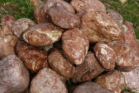 Kamenclub.ru: Розовый валунчик фр.100-300 мм.  купить в Санкт-Петербурге крупный природный камень розовый, серый молочный красный речной галечник природный 7850 руб/т   фото КАМЕНЬ КЛУБ