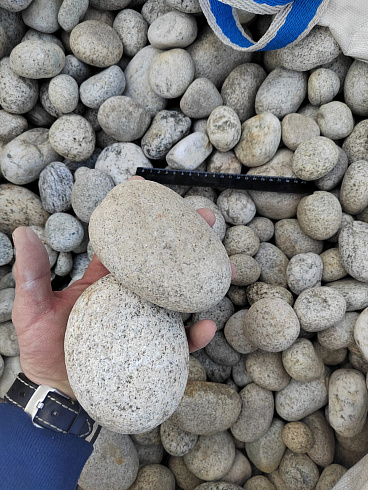 Kamenclub.ru: Галька речная окат (серо-белая) фр. 70-120 мм купить  в Санкт-Петербурге галька галечник бело-серая, серо-белая, серая, белая речная природная галька  8000 руб/т   фото КАМЕНЬ КЛУБ