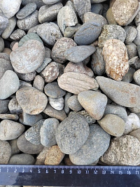 Kamenclub.ru: Галька речная окат (пестрая) фр. 20-40 мм. купить  в Санкт-Петербурге галька речная пестрая, серая, серые оттенки галька речная окатанная округлая 5000 руб/т   фото КАМЕНЬ КЛУБ