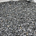 Kamenclub.ru: Щебень крошка черный (мрамор) фр. 10-20 мм.  купить в Санкт-Петербурге мрамор черный с белыми прожилками, черный, белый каменная ландшафтная декоративная крошка щебня 11000 руб/т   фото КАМЕНЬ КЛУБ