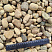 Kamenclub.ru: Галька речная окат рыжая фр. 20-40 мм. купить  в Санкт-Петербурге галька речная окатанная рыжая желтая серая округлая речная галька 5000 руб/т   фото КАМЕНЬ КЛУБ