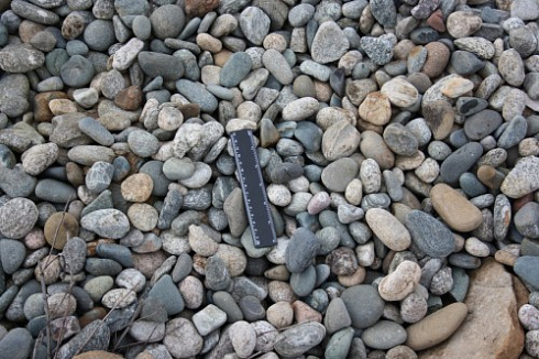 Kamenclub.ru: Галька речная окат (пестрая) фр. 20-40 мм. купить  в Санкт-Петербурге галька речная пестрая, серая, серые оттенки галька речная окатанная округлая 5000 руб/т   фото КАМЕНЬ КЛУБ