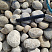 Kamenclub.ru: Галька речная окат (серо-белая) фр. 70-120 мм купить  в Санкт-Петербурге галька галечник бело-серая, серо-белая, серая, белая речная природная галька  8000 руб/т   фото КАМЕНЬ КЛУБ