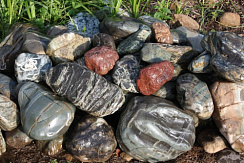 Kamenclub.ru: Ландшафтные валунчики фр.100-500 мм.  купить в Санкт-Петербурге крупный природный камень серый, темно-серый, светло-серый речной валун крупный 4800 руб/т   фото КАМЕНЬ КЛУБ