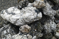 Kamenclub.ru: Черный гранит - кварцит фр. 100-500 мм.  купить в Санкт-Петербурге мрамор гранит черный с белыми прожилками, серый, белый валун скальный колотый 7000 руб/т   фото КАМЕНЬ КЛУБ