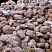 Kamenclub.ru: Розовый валунчик фр.100-300 мм.  купить в Санкт-Петербурге крупный природный камень розовый, серый молочный красный речной галечник природный 7850 руб/т   фото КАМЕНЬ КЛУБ