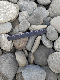 Kamenclub.ru: Галька речная плоская (серо-белая) фр. 70-120 мм. купить в Санкт-Петербурге галька галечник речной серый, белый окатанная плоская  природная галька 9000 руб/т   фото КАМЕНЬ КЛУБ