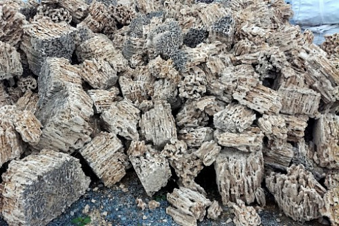 Kamenclub.ru: Крымский природный меотис фр. 100-500 мм.  купить в Санкт-Петербурге меотис бежевый рыжий молочный желтый ракушечник 4 500 руб/т   фото КАМЕНЬ КЛУБ