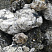 Kamenclub.ru: Черный гранит - кварцит фр. 100-500 мм.  купить в Санкт-Петербурге мрамор гранит черный с белыми прожилками, серый, белый валун скальный колотый 7000 руб/т   фото КАМЕНЬ КЛУБ