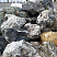 Kamenclub.ru: Черный гранит - кварцит фр. 500-1000 мм.  купить в Санкт-Петербурге гранит кварцит черный серый белый скальный колотый валун 9750 руб/т   фото КАМЕНЬ КЛУБ