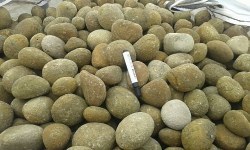 Kamenclub.ru: Песчаник ядра, фр. 100-300 мм  купить в Санкт-Петербурге песчаник бежевый серый рыжий речная галька 5 000 руб/т   фото КАМЕНЬ КЛУБ