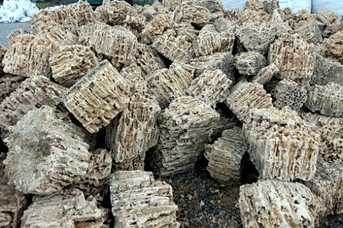 Kamenclub.ru: Крымский природный меотис фр. 100-500 мм.  купить в Санкт-Петербурге меотис бежевый рыжий молочный желтый ракушечник 4 500 руб/т   фото КАМЕНЬ КЛУБ