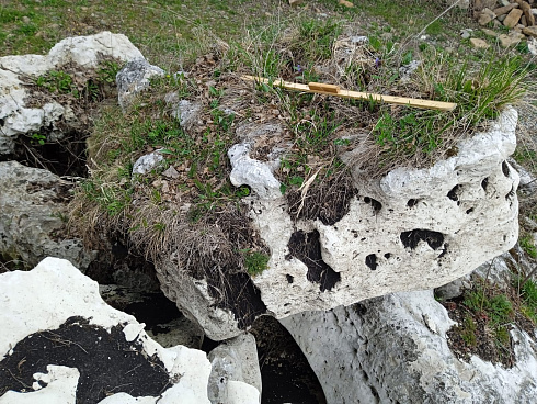 Kamenclub.ru: Выветренный известняк со мхом фр. 100-500 мм.  купить в Санкт-Петербурге известняк серый белый зеленый валун известняковый крупный 10000 руб/т   фото КАМЕНЬ КЛУБ