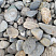 Kamenclub.ru: Галька речная окат (пестрая) фр. 20-40 мм. купить  в Санкт-Петербурге галька речная пестрая, серая, серые оттенки галька речная окатанная округлая 5000 руб/т   фото КАМЕНЬ КЛУБ