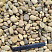 Kamenclub.ru: Галька речная окат рыжая фр. 20-40 мм. купить  в Санкт-Петербурге галька речная окатанная рыжая желтая серая округлая речная галька 5000 руб/т   фото КАМЕНЬ КЛУБ