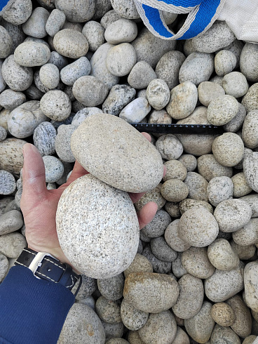 Kamenclub.ru: Галька речная окат (серо-белая) фр. 70-120 мм купить  в Санкт-Петербурге галька галечник бело-серая, серо-белая, серая, белая речная природная галька  8000 руб/т   фото КАМЕНЬ КЛУБ