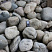 Kamenclub.ru: Темно-серый валунчик фр.100-300 мм.  купить в Санкт-Петербурге крупный природный камень серый, темно-серый, светло-серый речная галька большого размера окатанная 4500 руб/т   фото КАМЕНЬ КЛУБ