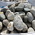 Kamenclub.ru: Речной валун (Ассорти) фр.100-300 мм.  купить в Санкт-Петербурге галечник серый, темно-серый, светло-серый речная галька крупных размеров 4200 руб/т   фото КАМЕНЬ КЛУБ