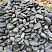 Kamenclub.ru: Темно-серый валунчик фр.100-300 мм.  купить в Санкт-Петербурге крупный природный камень серый, темно-серый, светло-серый речная галька большого размера окатанная 4500 руб/т   фото КАМЕНЬ КЛУБ