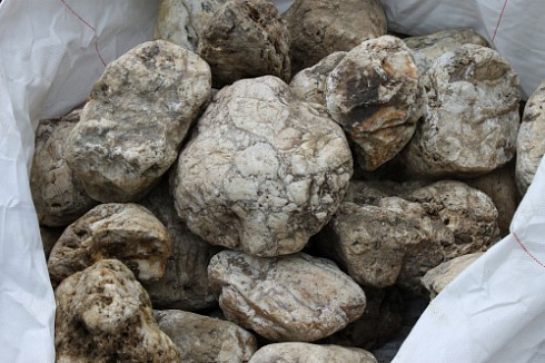 Kamenclub.ru: Кварцевый валунчик фр.100-300 мм.  купить в Санкт-Петербурге кварц белый, бежевый молочный рыжий крупный природный камень галечник 7850 руб/т   фото КАМЕНЬ КЛУБ