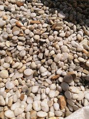 Галька Крымская Жемчужина фр. 10-20 мм.  купить в Санкт-Петербурге фото Камень Клуб