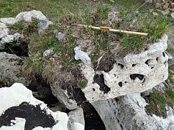 Kamenclub.ru: Выветренный известняк (степной) фр. 500-1500 мм.  купить в Санкт-Петербурге    10000 руб/т   фото КАМЕНЬ КЛУБ