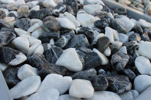 Kamenclub.ru: Мраморная крошка (щебень галтованный микс:: белый-черный) фр.20-40 мм  купить в Санкт-Петербурге мрамор белый, черный мраморный галтованный щебень 15500 руб/т   фото КАМЕНЬ КЛУБ