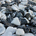 Kamenclub.ru: Мраморная крошка (щебень галтованный микс:: белый-черный) фр.20-40 мм  купить в Санкт-Петербурге мрамор белый, черный мраморный галтованный щебень 15500 руб/т   фото КАМЕНЬ КЛУБ