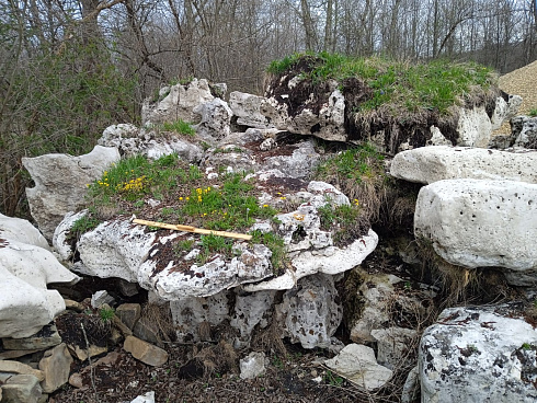 Kamenclub.ru: Выветренный известняк со мхом фр. 100-500 мм.  купить в Санкт-Петербурге известняк серый белый зеленый валун известняковый крупный 10000 руб/т   фото КАМЕНЬ КЛУБ