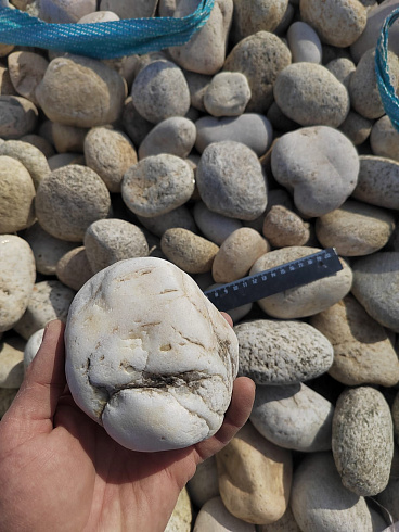 Kamenclub.ru: Галька речная окат (серо-белая) фр. 70-120 мм купить  в Санкт-Петербурге галька галечник бело-серая, серо-белая, серая, белая речная природная галька  8000 руб/т   фото КАМЕНЬ КЛУБ