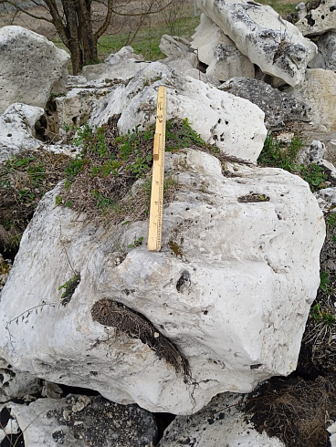 Kamenclub.ru: Выветренный известняк со мхом фр. 100-500 мм.  купить в Санкт-Петербурге известняк серый белый зеленый валун известняковый крупный 10000 руб/т   фото КАМЕНЬ КЛУБ