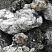 Kamenclub.ru: Черный гранит - кварцит фр. 100-500 мм.  купить в Санкт-Петербурге мрамор гранит черный с белыми прожилками, серый, белый валун скальный колотый 7000 руб/т   фото КАМЕНЬ КЛУБ