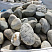 Kamenclub.ru: Речной валун (Ассорти) фр.100-300 мм.  купить в Санкт-Петербурге галечник серый, темно-серый, светло-серый речная галька крупных размеров 4200 руб/т   фото КАМЕНЬ КЛУБ