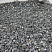 Kamenclub.ru: Щебень крошка черный (мрамор) фр. 5-10 мм.  купить в Санкт-Петербурге мрамор черный с белыми прожилками, черный, белый мраморная крошка декоративная ландшафтная 11000 руб/т   фото КАМЕНЬ КЛУБ