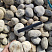 Kamenclub.ru: Галька речная окат (серо-белая) фр. 70-120 мм купить  в Санкт-Петербурге галька галечник бело-серая, серо-белая, серая, белая речная природная галька  8000 руб/т   фото КАМЕНЬ КЛУБ
