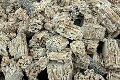 Kamenclub.ru: Крымский природный меотис фр. 100-500 мм.  купить в Санкт-Петербурге меотис бежевый рыжий молочный желтый ракушечник 4 500 руб/т   фото КАМЕНЬ КЛУБ