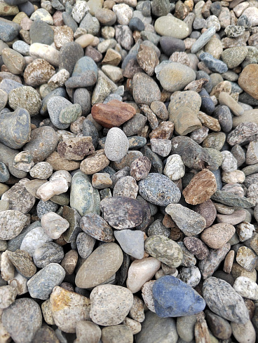 Kamenclub.ru: Галька речная окат (серая) фр.10-20 мм купить  в Санкт-Петербурге галька речная серая, серый, темно-серый, светло-серый, коричневый ландшафтная декоративная речная окатанная округлая галька 5000 руб/т   фото КАМЕНЬ КЛУБ