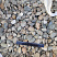Kamenclub.ru: Галька речная окат (пестрая) фр. 20-40 мм. купить  в Санкт-Петербурге галька речная пестрая, серая, серые оттенки галька речная окатанная округлая 5000 руб/т   фото КАМЕНЬ КЛУБ