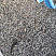 Kamenclub.ru: Галька речная окат (серая) фр.3-5 мм купить  в Санкт-Петербурге галька речная серая бежевый темно-серый окатанный речной камень округлый 9500 руб/т   фото КАМЕНЬ КЛУБ