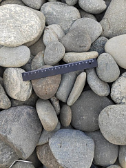 Kamenclub.ru: Галька речная плоская (ассорти) фр. 70-150 мм. купить в Санкт-Петербурге галька галечник серый белый темно-серый синий светло-серый плоская природная галька  9000 руб/т   фото КАМЕНЬ КЛУБ