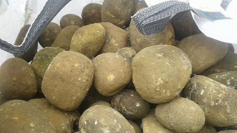 Kamenclub.ru: Песчаник ядра, фр. 100-300 мм  купить в Санкт-Петербурге песчаник бежевый серый рыжий речная галька 5 000 руб/т   фото КАМЕНЬ КЛУБ