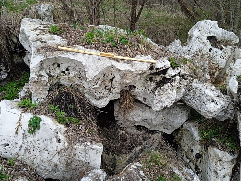 Kamenclub.ru: Выветренный известняк со мхом фр. 100-500 мм.  купить в Санкт-Петербурге известняк серый белый зеленый валун известняковый крупный 10000 руб/т   фото КАМЕНЬ КЛУБ