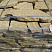Kamenclub.ru: Песчаник пластушка желтый с рисунком (3 см)  купить в Санкт-Петербурге песчаник желтый с рисунком, рыжий, желтый песчаник пластушка ландшафтная рваная 8 500 руб/м3   фото КАМЕНЬ КЛУБ