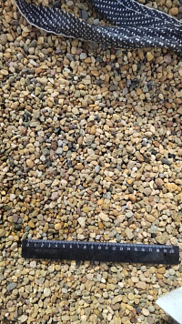 Kamenclub.ru: Галька окат (серо-желтая) фр.5-10 мм. купить  в Санкт-Петербурге галька речная рыжий, желтый, рыжий, серо-желтый речная окатанная галька декоративная 5000 руб/т   фото КАМЕНЬ КЛУБ