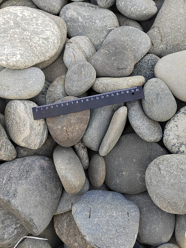 Kamenclub.ru: Галька речная плоская (ассорти) фр. 70-150 мм. купить  в Санкт-Петербурге галька галечник серый белый темно-серый синий светло-серый плоская природная галька  9000 руб/т   фото КАМЕНЬ КЛУБ